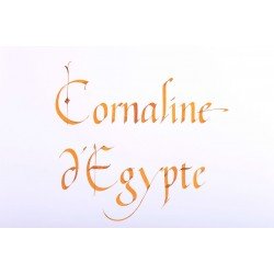 Flacon d'encre Cornaline d'Egypte 50 ml 1798  J. Herbin®
