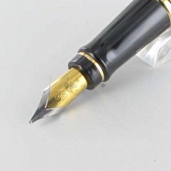 Bloc Plume de Rechange Doré Or "Expert" WATERMAN® pour stylos plumes "Expert" (Médium)