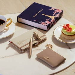 Stylo plume Sheaffer Paris motif fleur sur bureau élégant